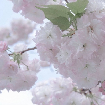 Furry插画风格解析FurryQQ群